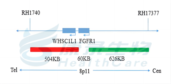 中国·拉斯维加斯(3499·官方认证)网站-Officialwebsite
